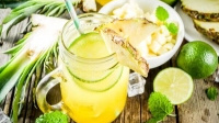 Мохито со вкусом Ананас Кокос. Сезон 2021